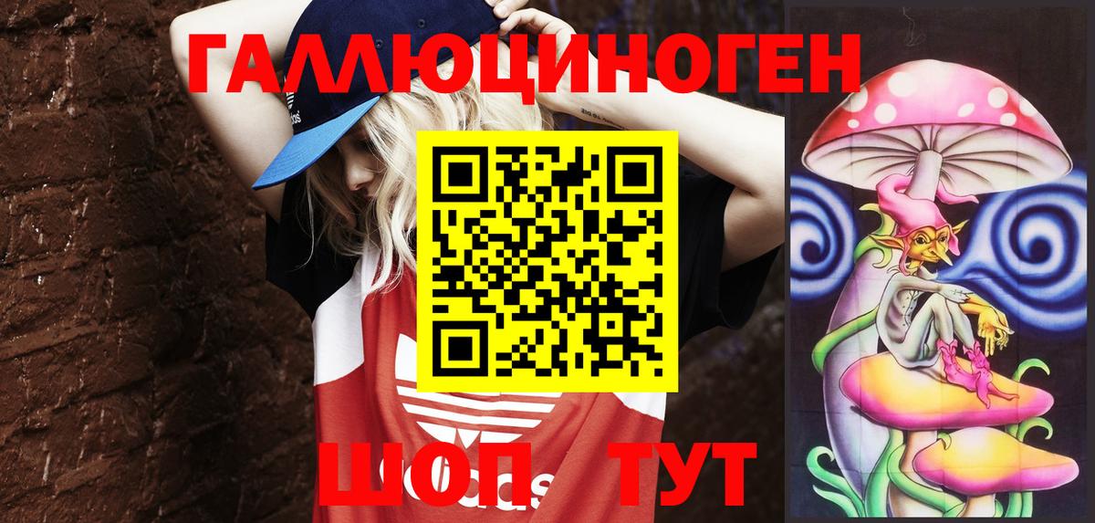 Ачхой-Мартан  Галлюциногенные грибы Psilocybe  Вход с VPN 