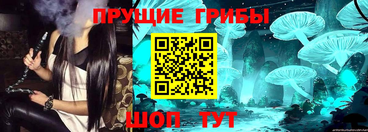 Галлюциногенные грибы прущие грибы Ачхой-Мартан